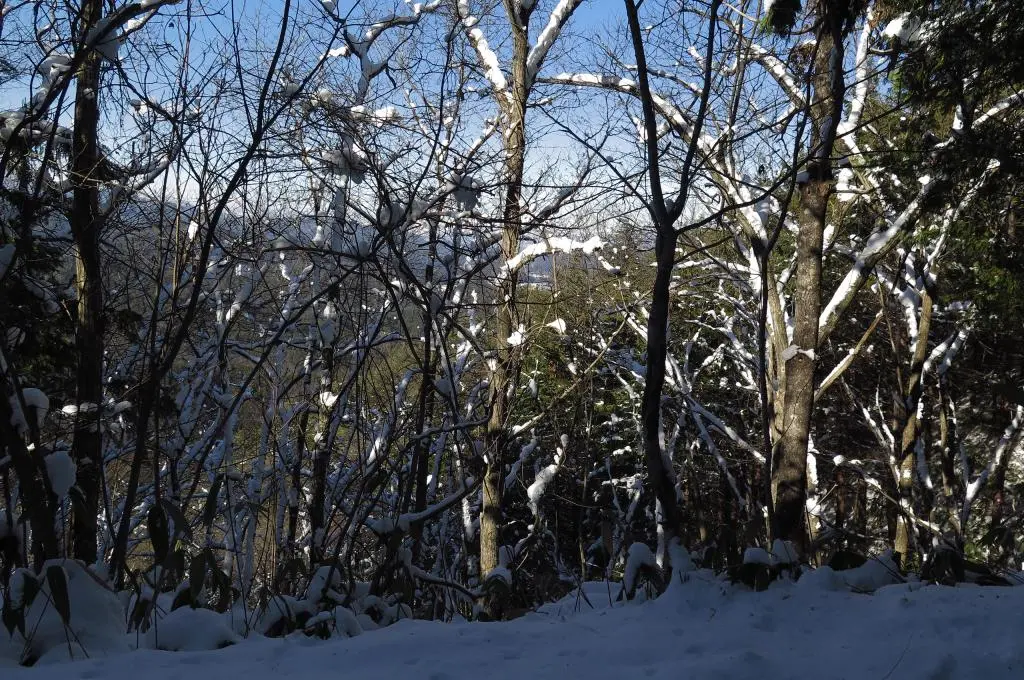 IMG_5955.jpg IMG_5955.jpg