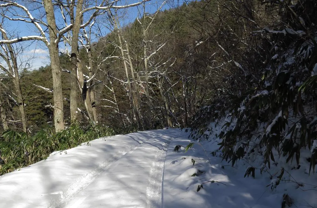 IMG_5960.jpg IMG_5960.jpg