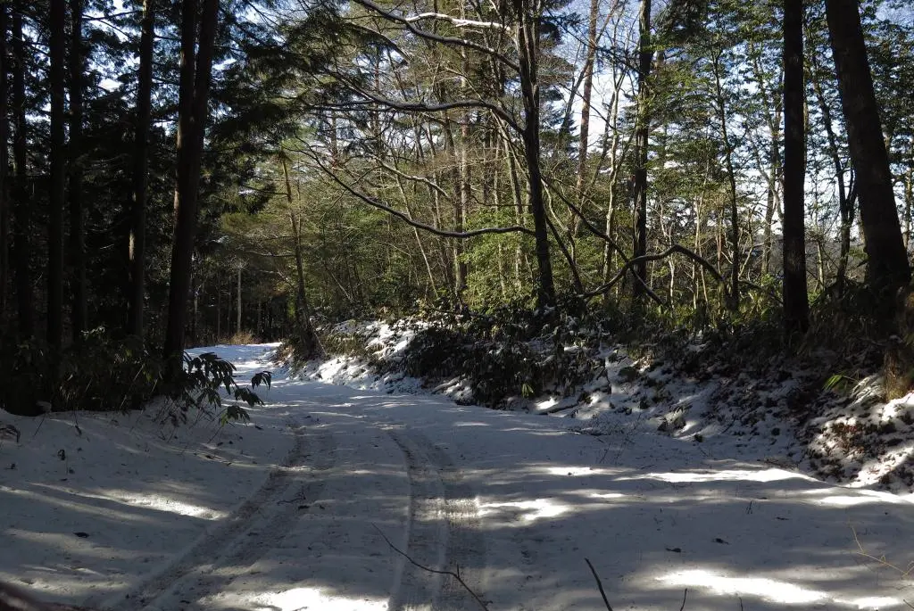 IMG_5962.jpg IMG_5962.jpg