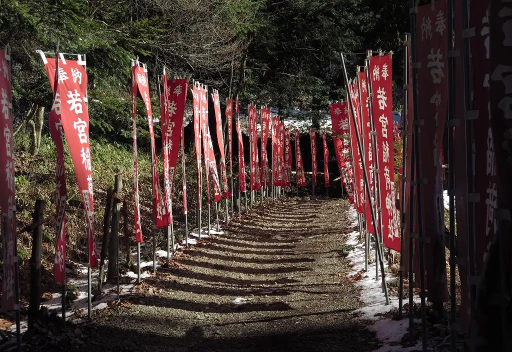 IMG_5982.jpg IMG_5982.jpg