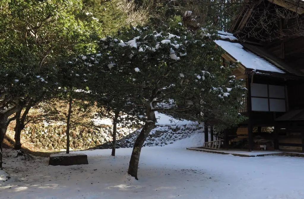 IMG_5992.jpg IMG_5992.jpg