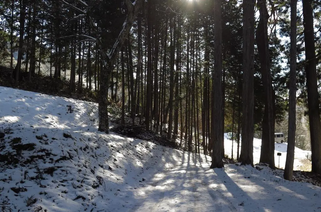 IMG_5993.jpg IMG_5993.jpg