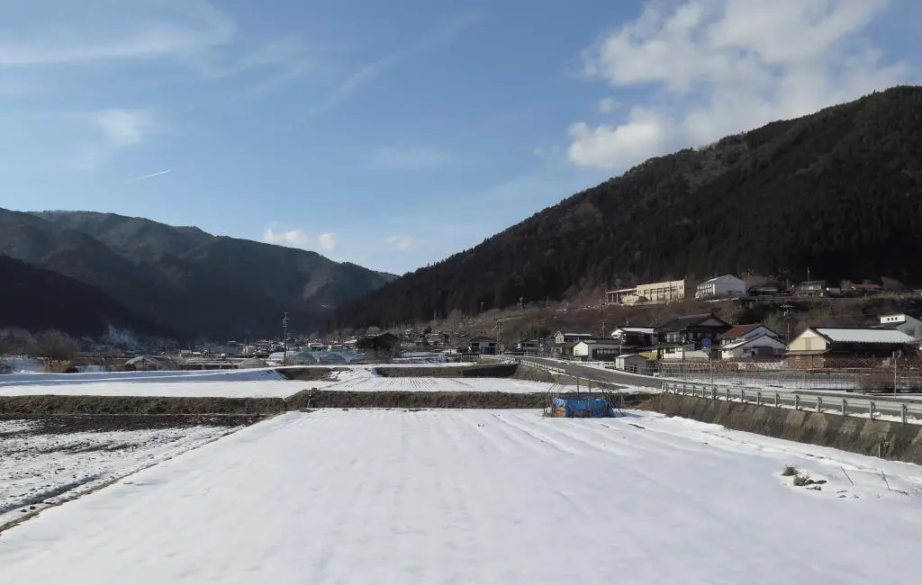 IMG_8586.jpg IMG_8586.jpg