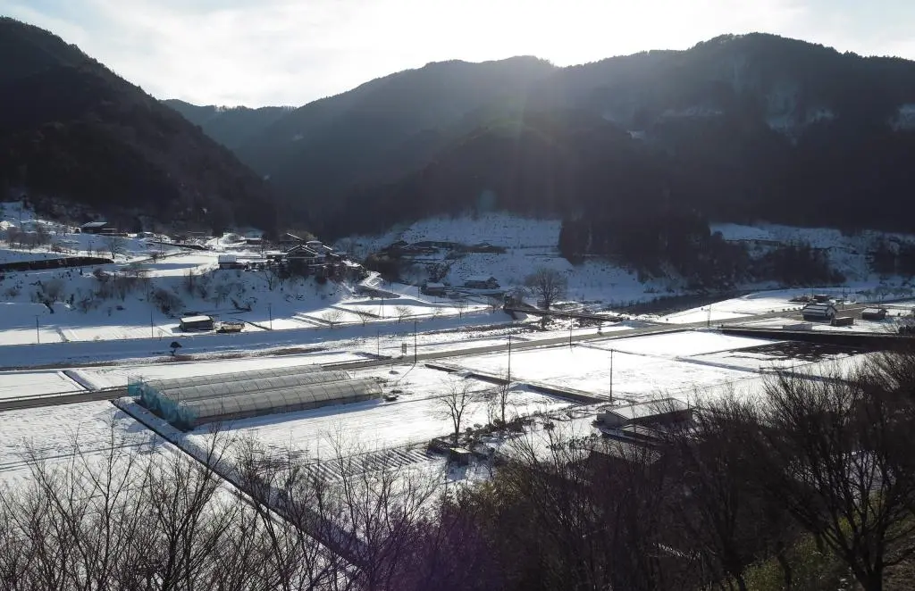 IMG_8638.jpg IMG_8638.jpg