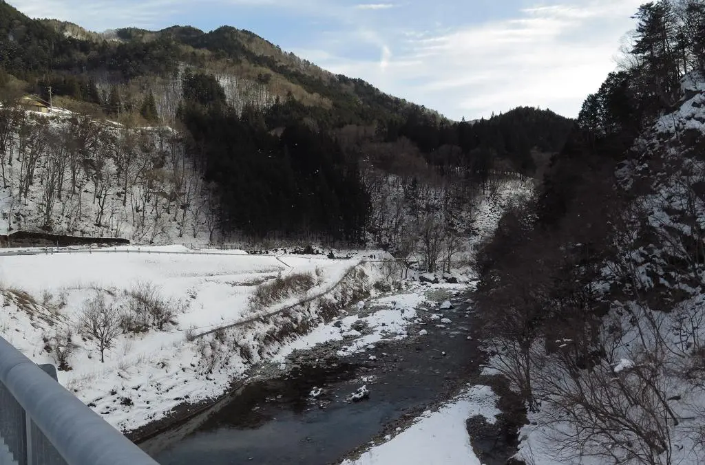 IMG_8655.jpg IMG_8655.jpg