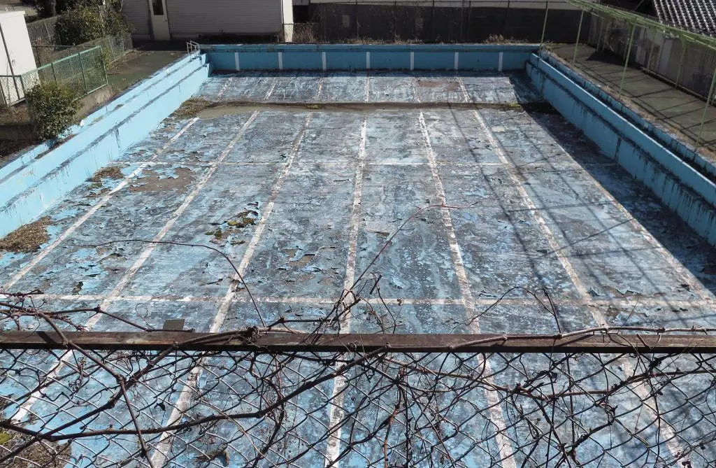 IMG_8503.jpg IMG_8503.jpg