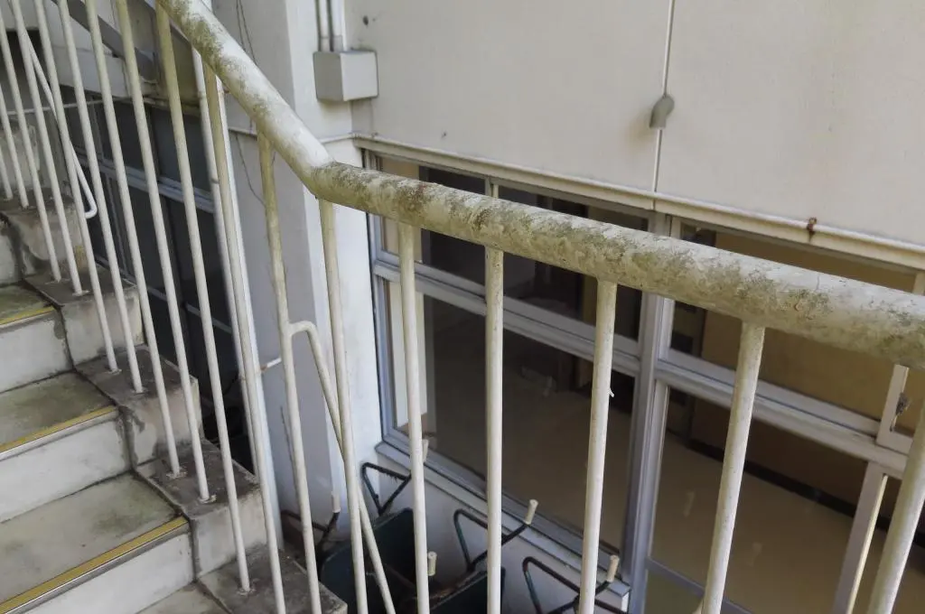 IMG_8513.jpg IMG_8513.jpg