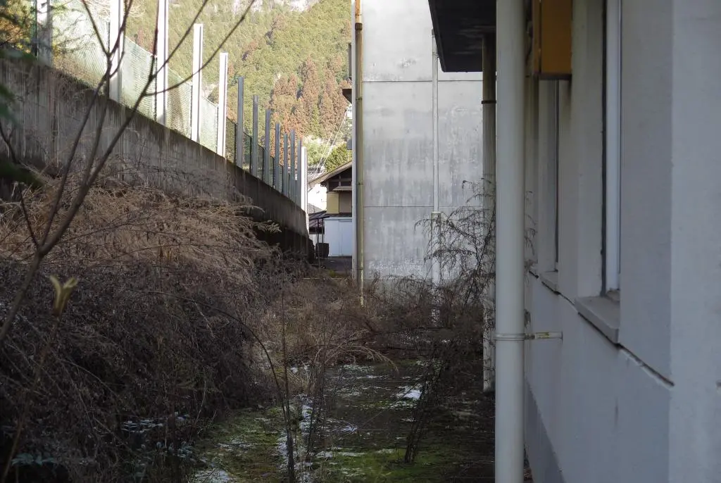 IMG_8515.jpg IMG_8515.jpg