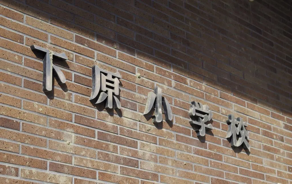 IMG_8530.jpg IMG_8530.jpg