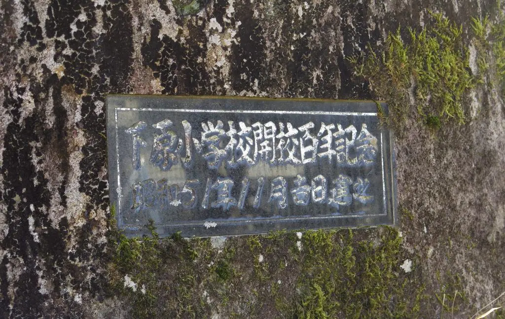 IMG_8557.jpg IMG_8557.jpg