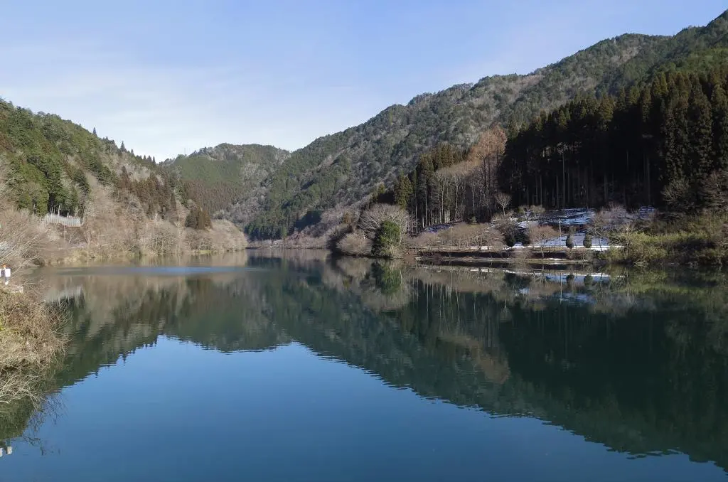 IMG_8577.jpg IMG_8577.jpg