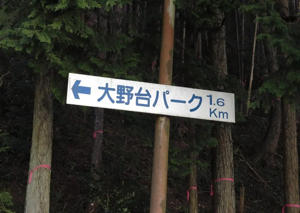 IMG_9392.jpg IMG_9392.jpg