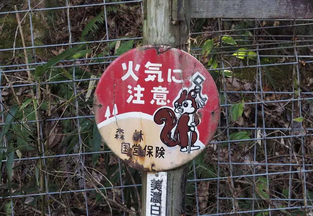 IMG_9501.jpg IMG_9501.jpg