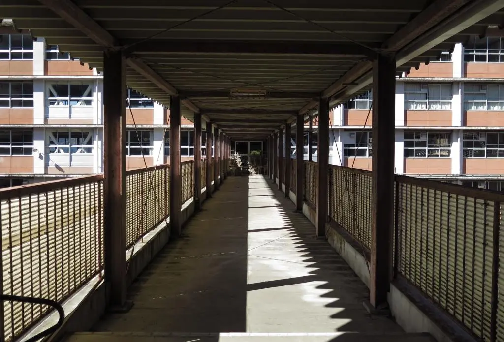 IMG_9524.jpg IMG_9524.jpg