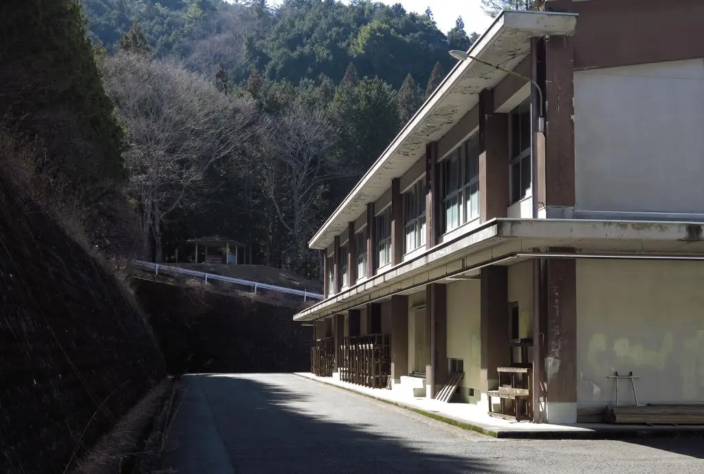 IMG_9534.jpg IMG_9534.jpg