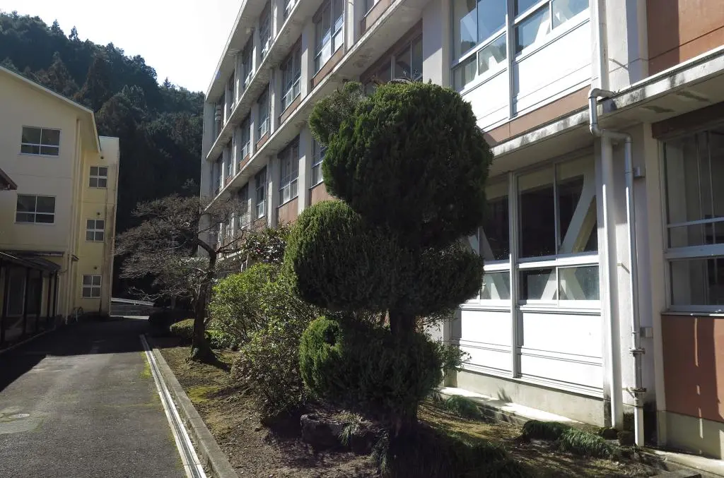 IMG_9567.jpg IMG_9567.jpg