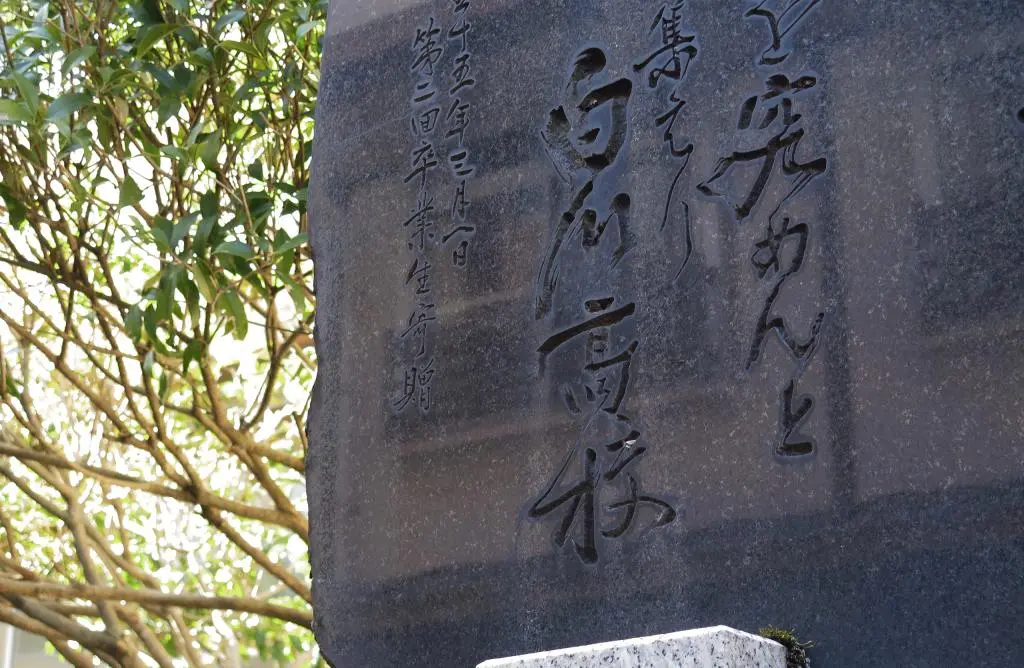 IMG_9577.jpg IMG_9577.jpg