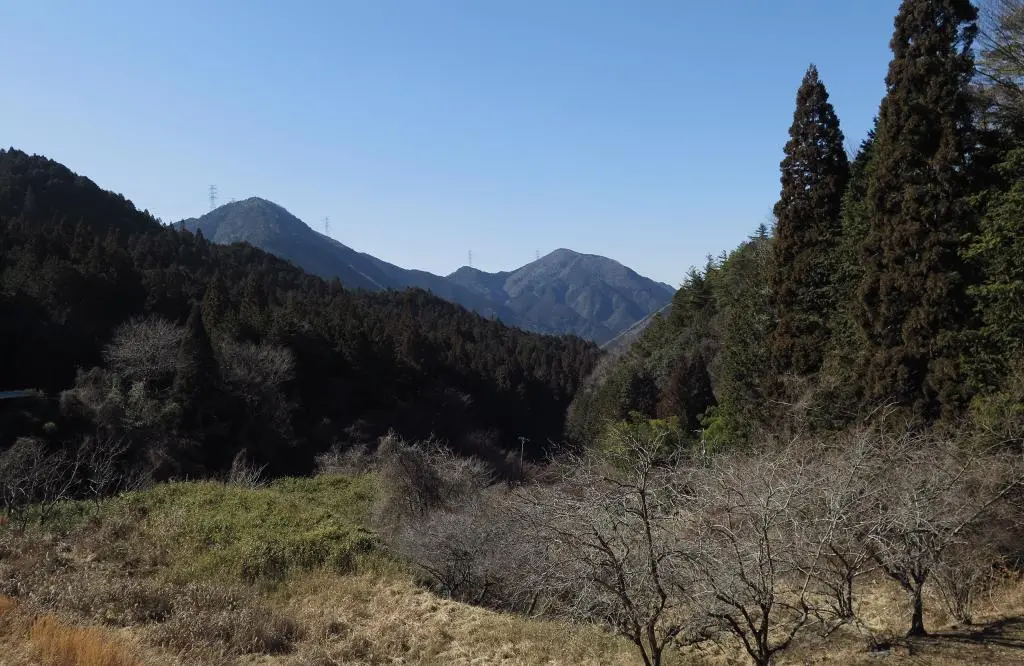 IMG_9609.jpg IMG_9609.jpg