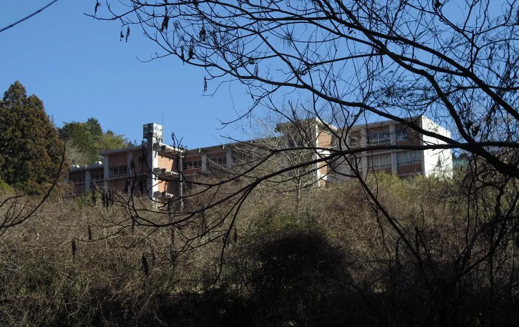 IMG_9658.jpg IMG_9658.jpg