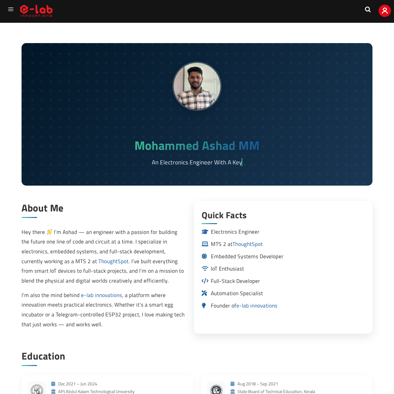 Elabins Portfolio Blocks screenshot
