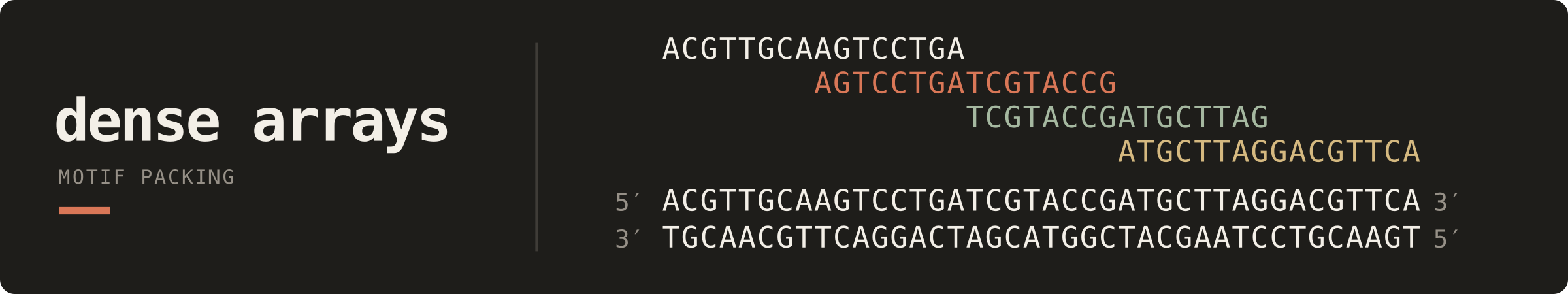 Dense Arrays — overlapping motifs within a sequence-length limit