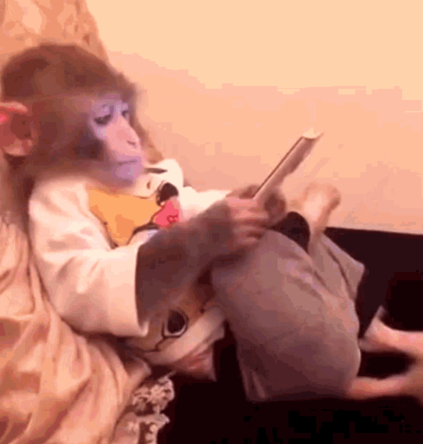 monkey-smartphone-gif