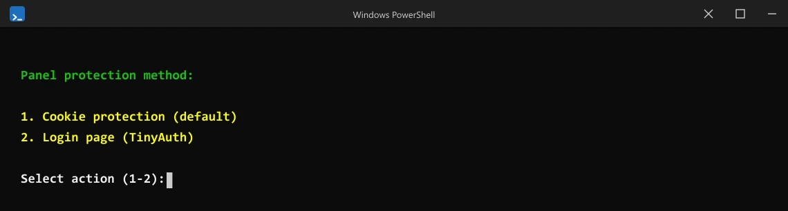 Panel protection method (nginx)