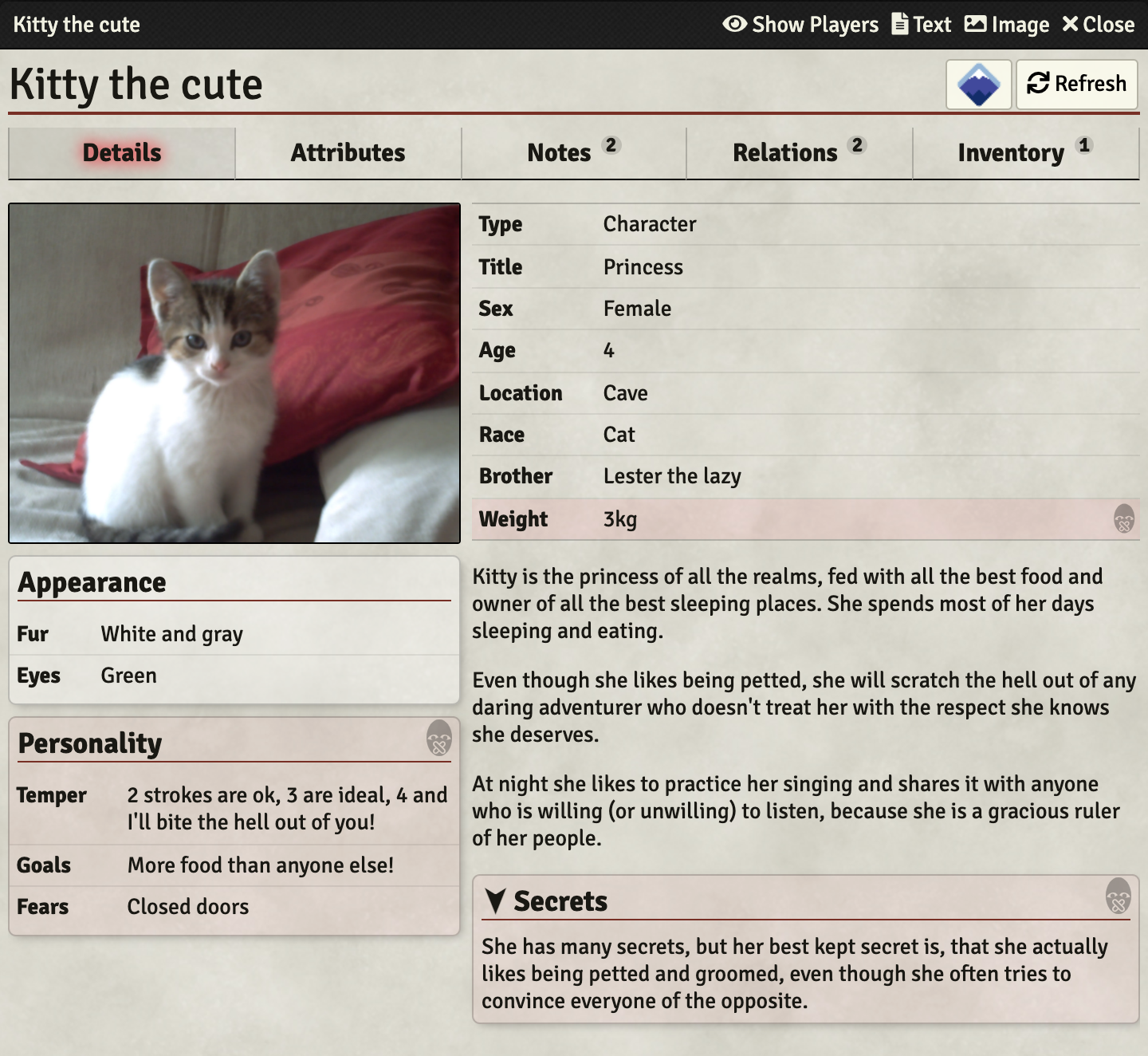 Screenshot of a journal entry after importing it from Kanka.