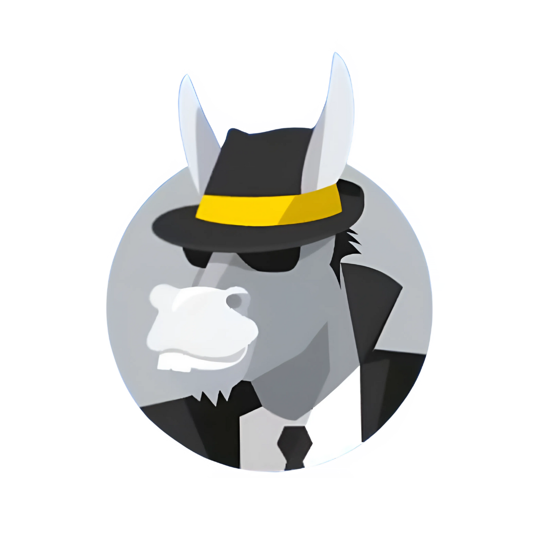 HMA VPN 1 Year Subscription