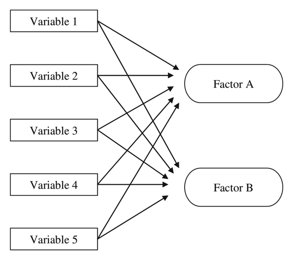 Exploratory factor analysis (codes included)
