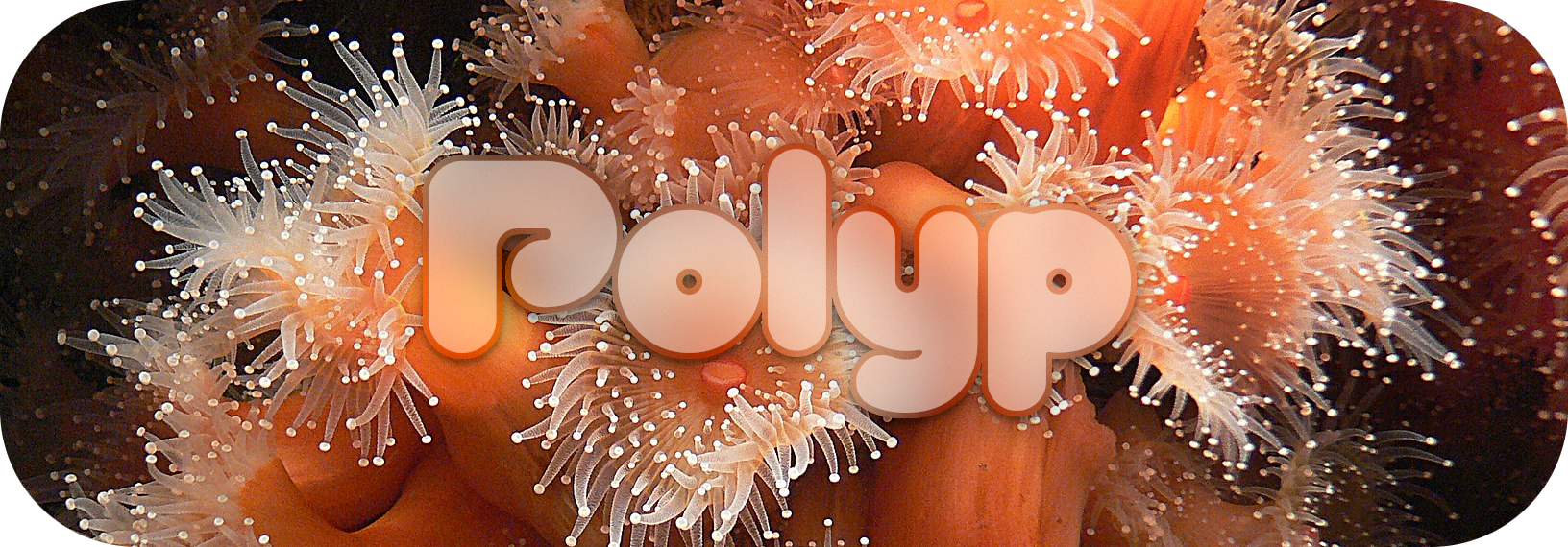 polyp