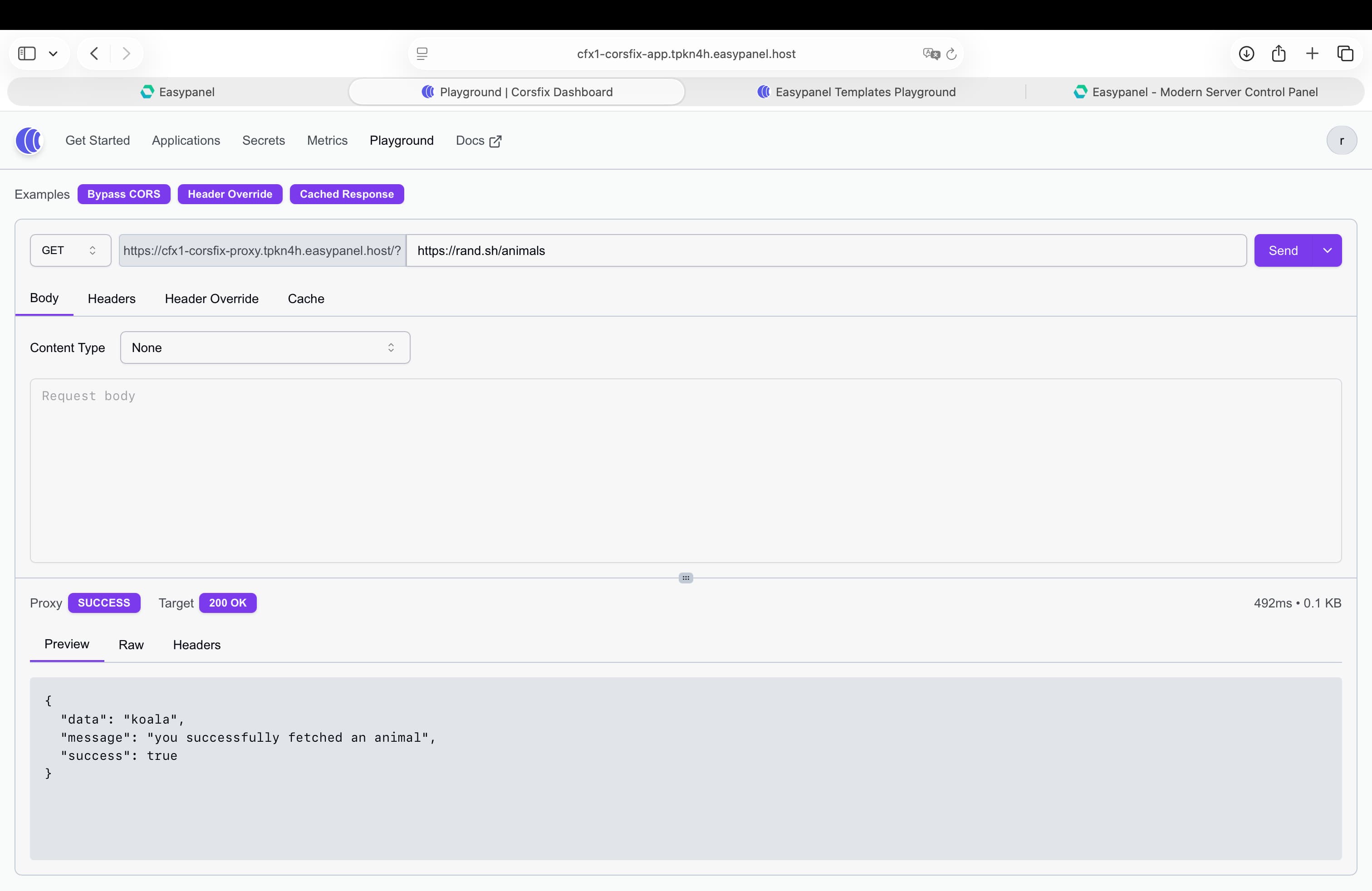 Corsfix screenshot 5
