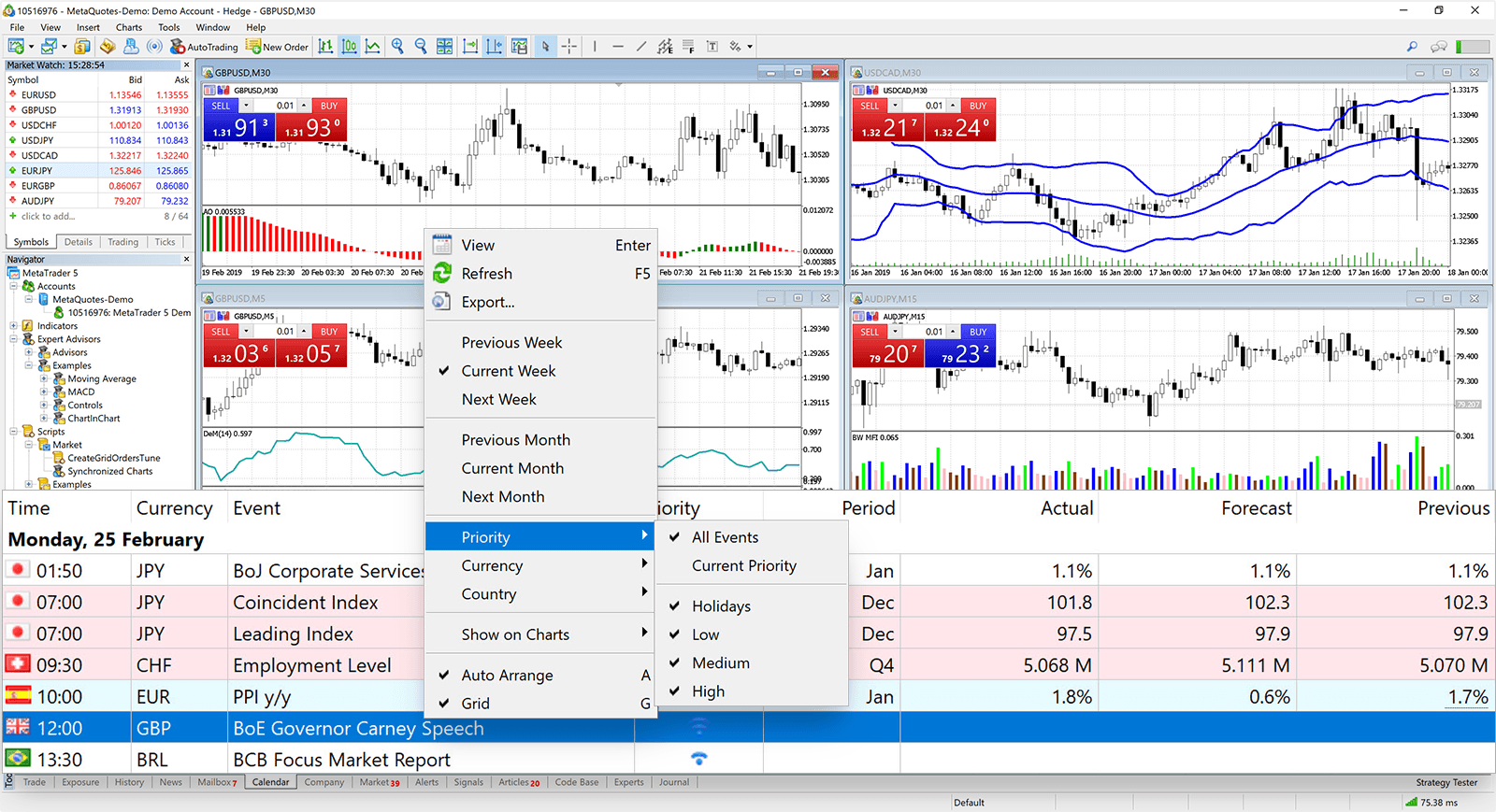 MetaTrader5 screenshot 1