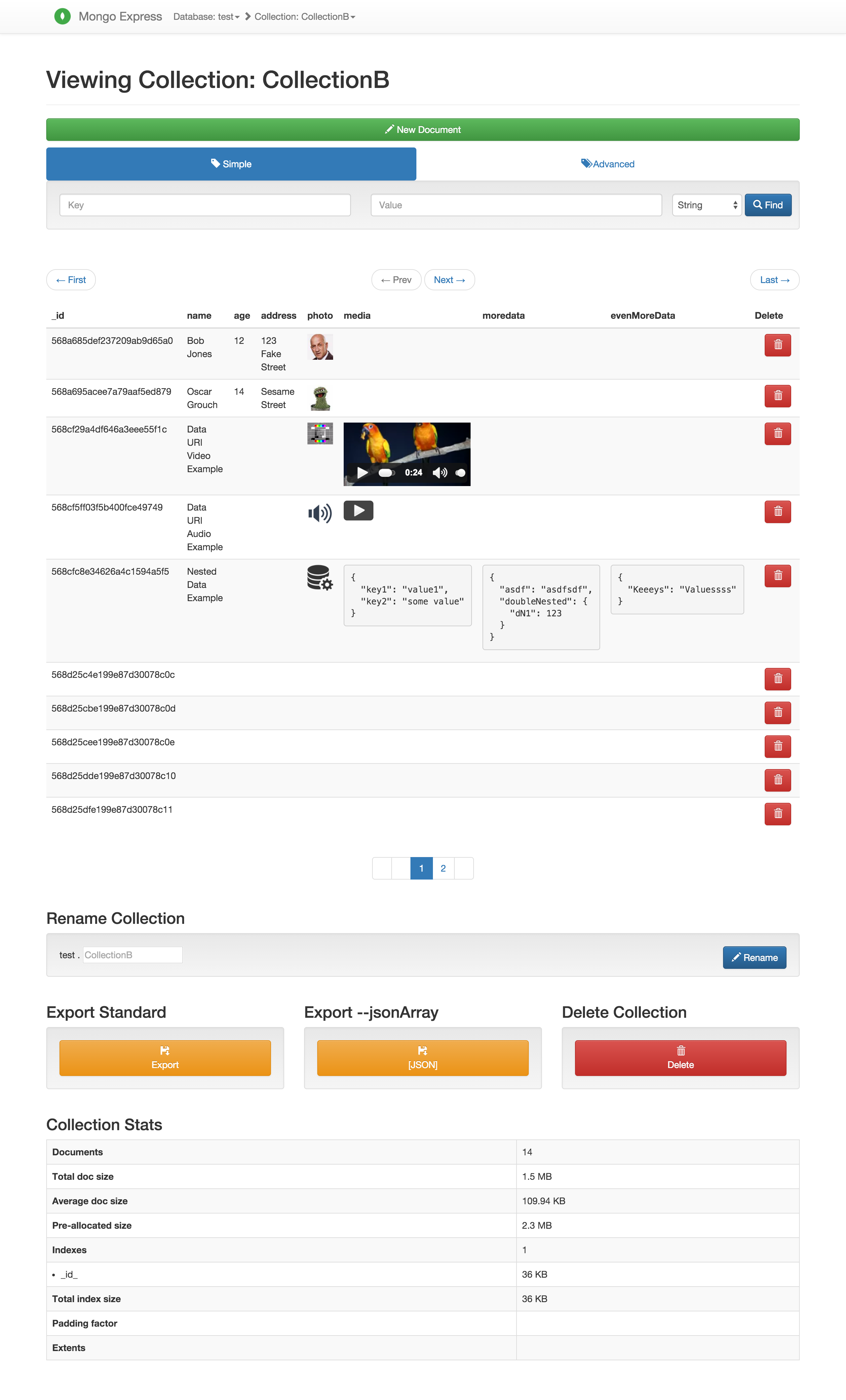 Mongo Express screenshot 3