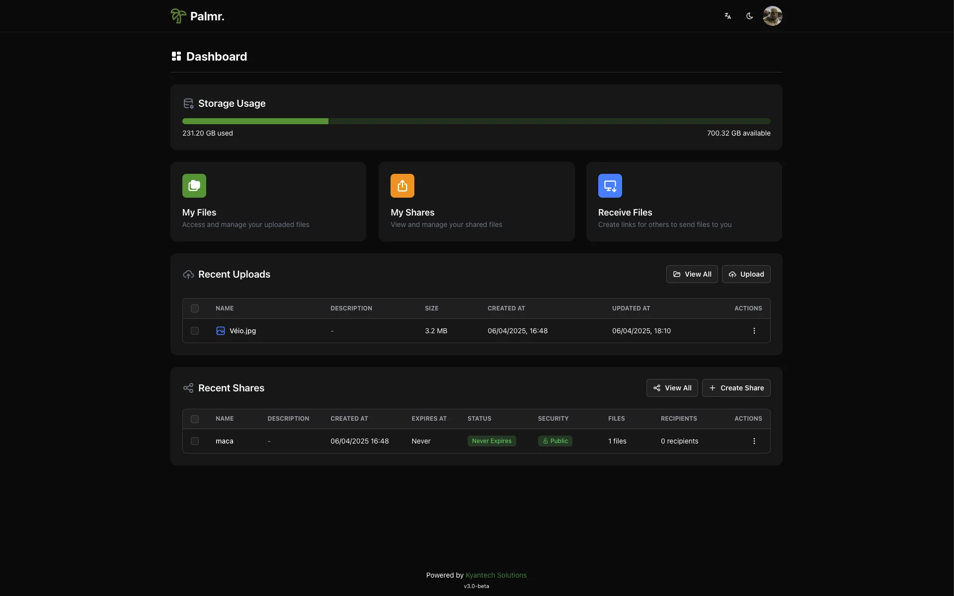 Palmr screenshot 1