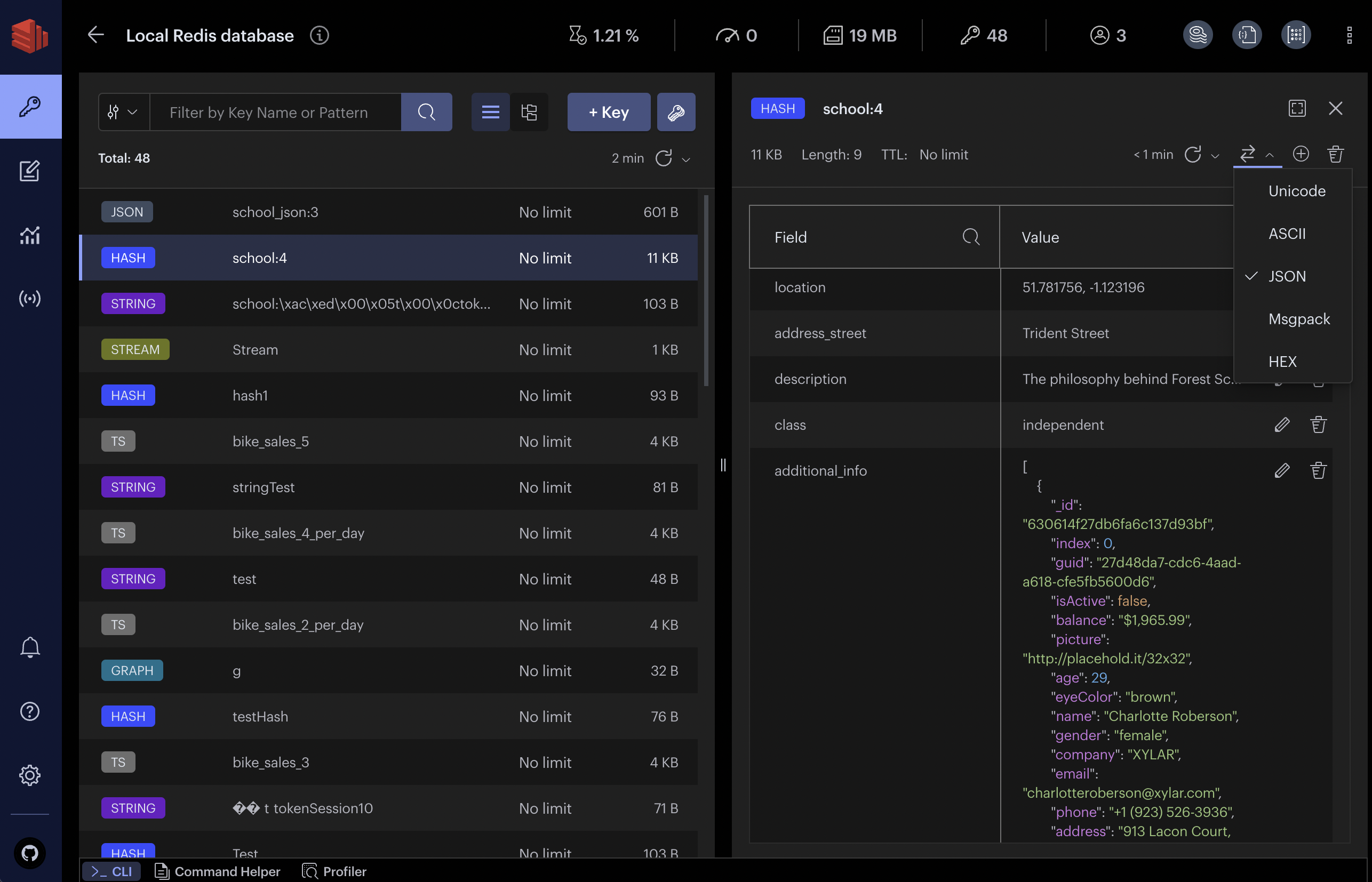 Redis Insight screenshot 1