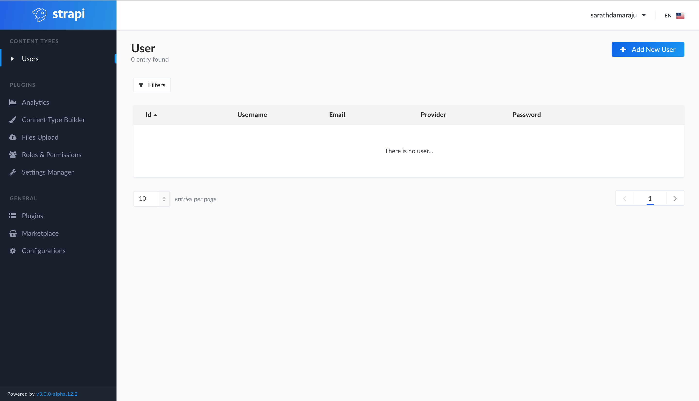 Strapi screenshot 1