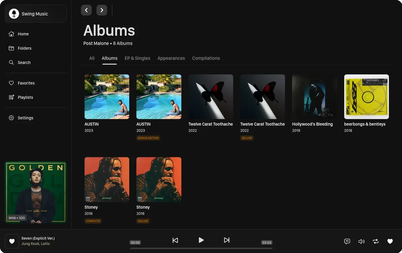 Swingmusic screenshot 1