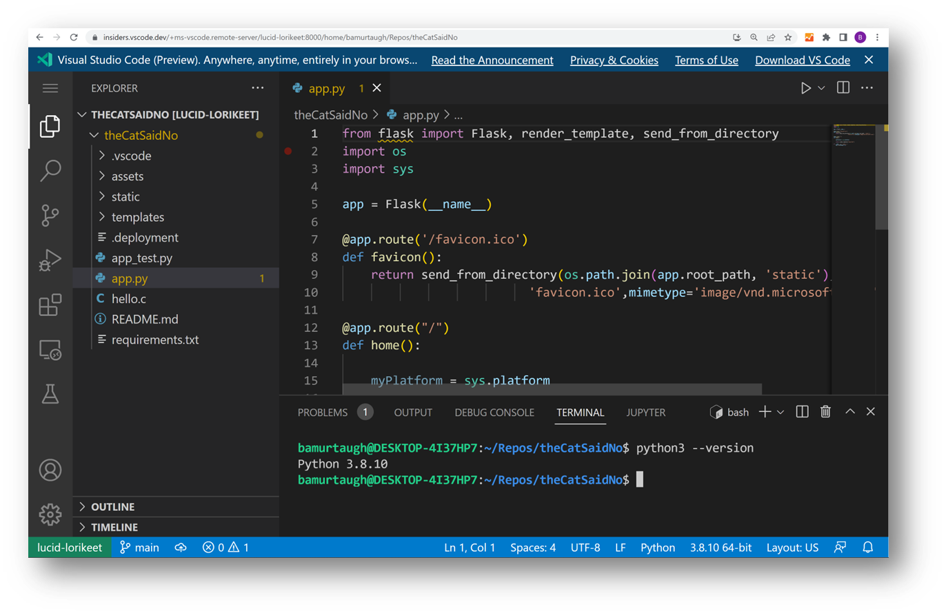 Visual Studio Code Server screenshot 1