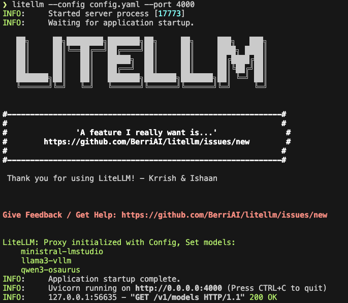 Lite LLM CLI startup