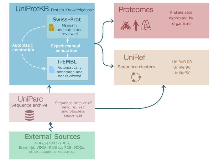 UniProt tok podatkov