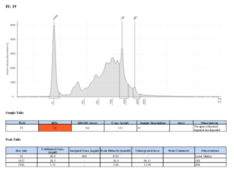 TS-Morea-FACE-PUF-Batch-2-Ext-15.png