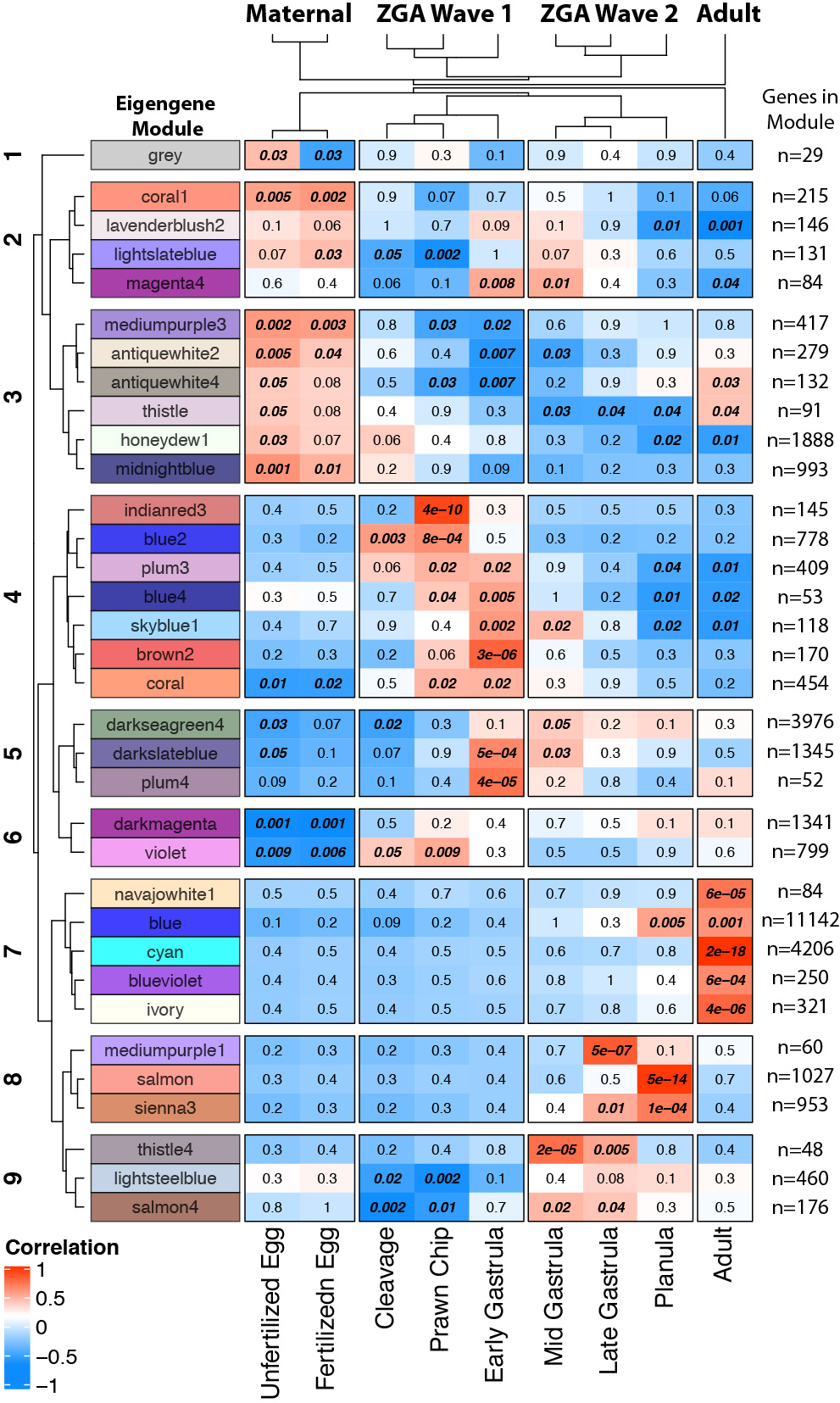 https://raw.githubusercontent.com/echille/Mcapitata_Developmental_Gene_Expression_Timeseries/master/Final_figures/Fig3.jpg