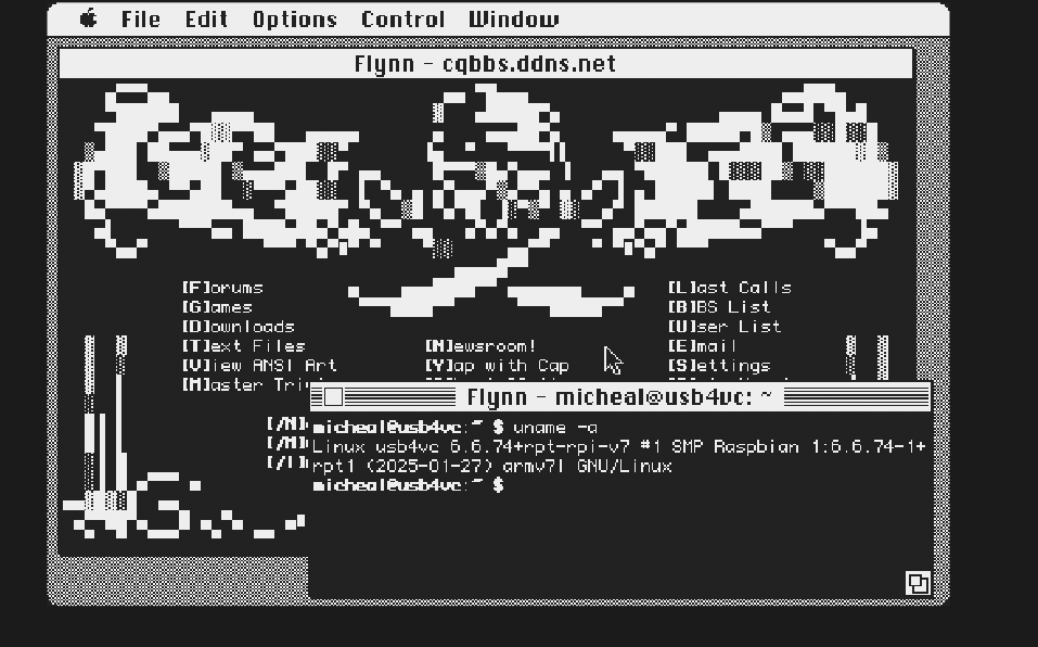 Flynn BBS and terminal multi-window