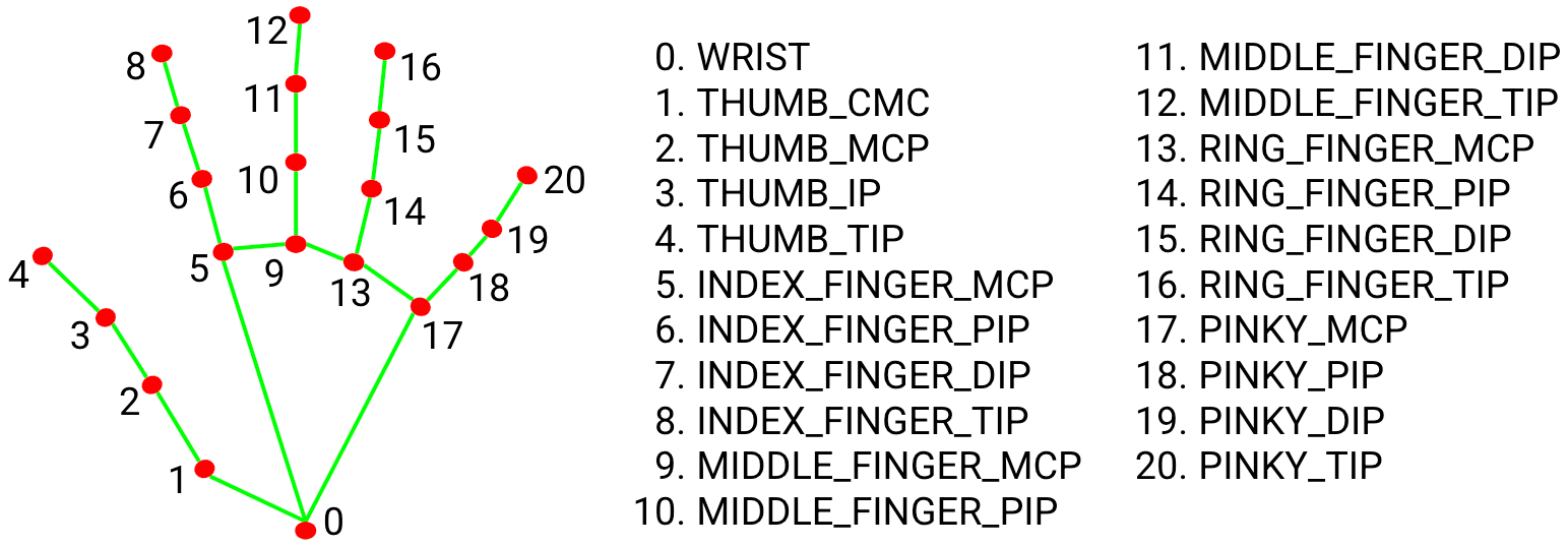 21 hand landmarks