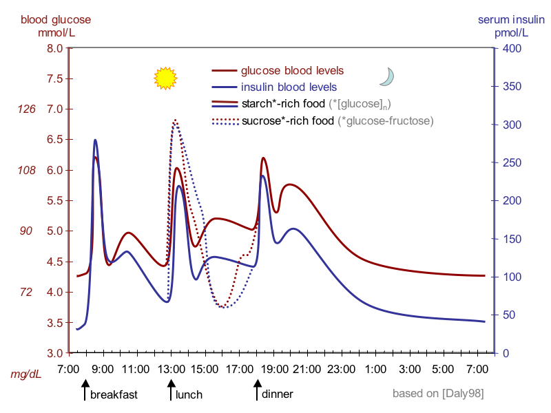 Normal Blood Glucose Curves