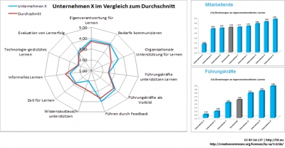 Abb. 5: Beispiele für Benchmarking-Ergebnisse im Rahmen einer Lernkulturanalyse