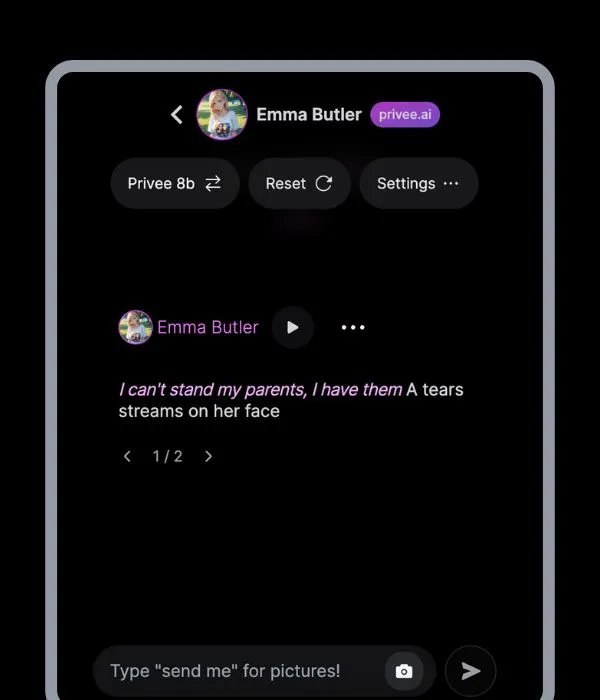 Chat Interface