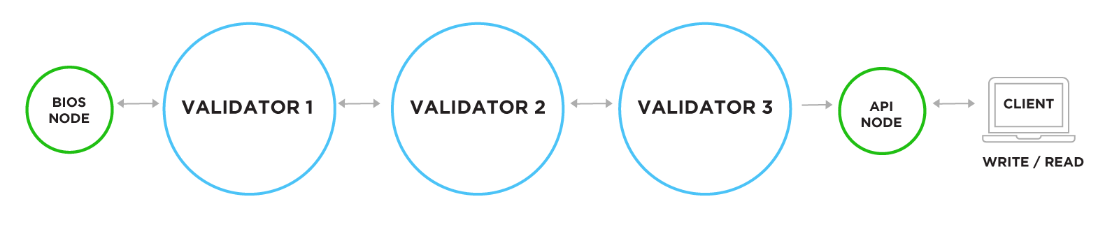 Blockchain Nodes