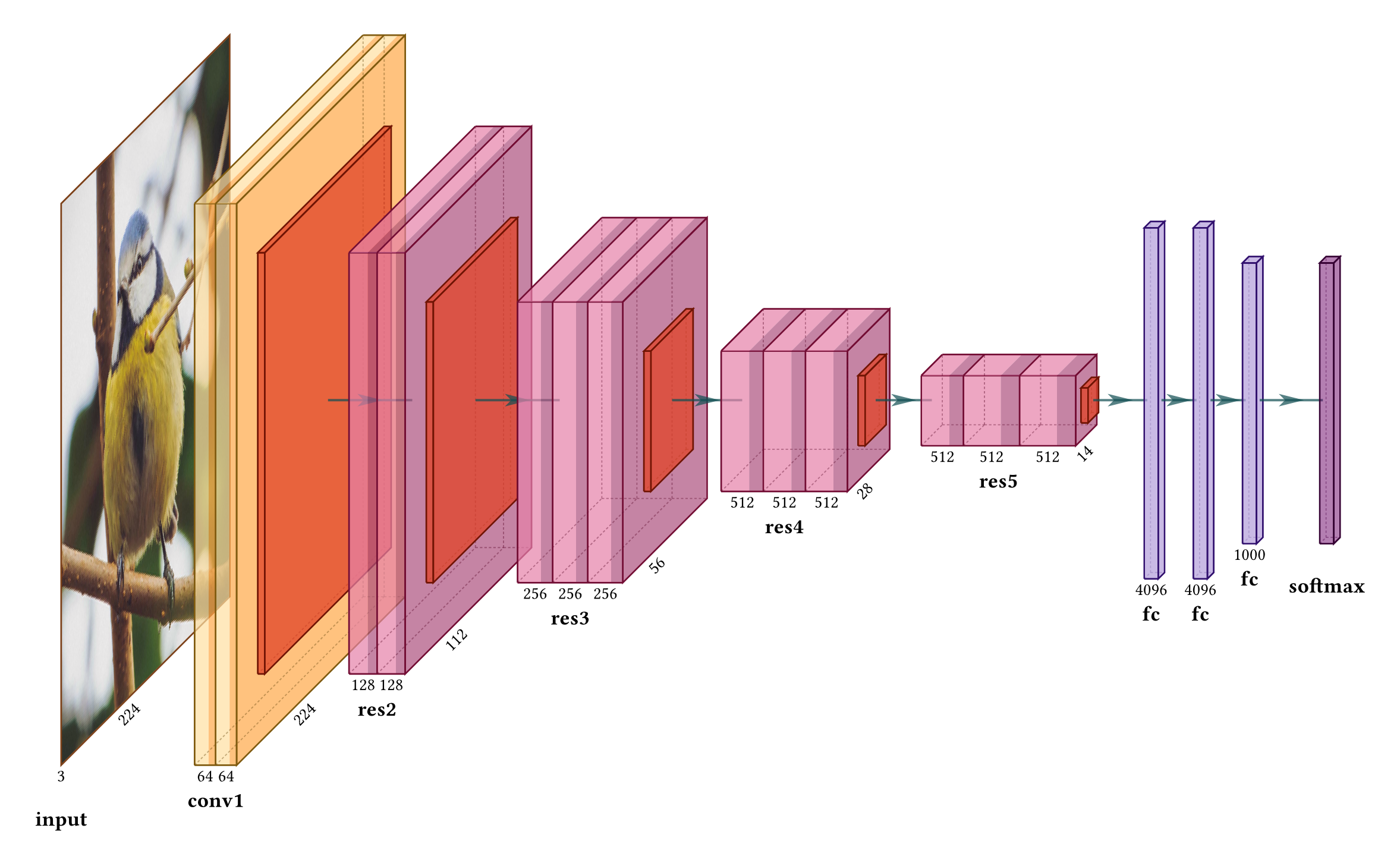 ResNet18 visualization